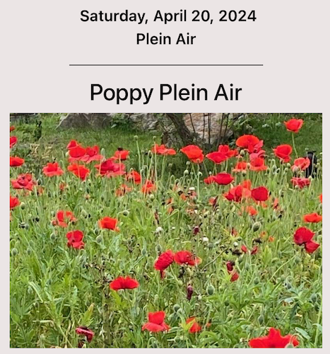 Poppy Plein Air